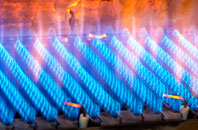 Caer Bont gas fired boilers